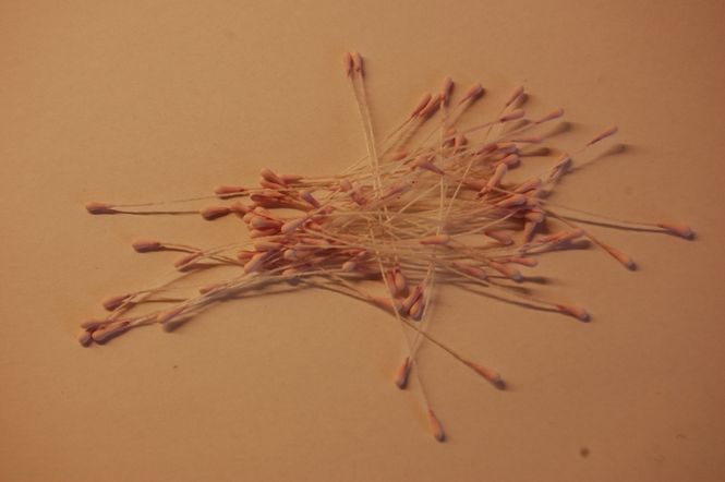 Hovedbilde Støvbærer Baby Rosa - SHS02