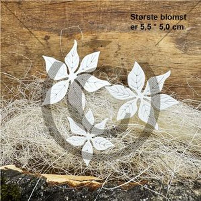 Hovedbilde Papirdesign-Julestjerner 3-PD 01261