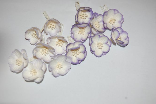 Hovedbilde Papirdesign-Kisebærblomst-lys lilla og mørk ...