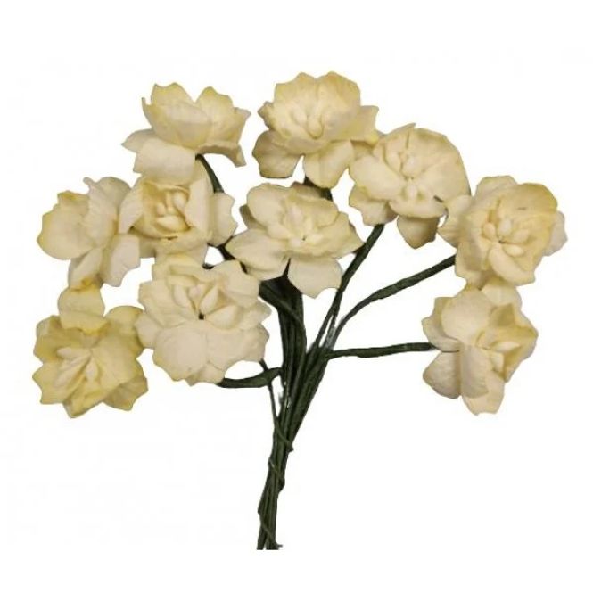 Hovedbilde LYS VARMGUL, BLOMSTER 10 STK-SH94