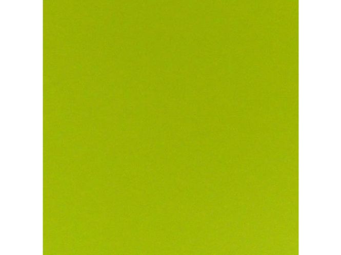 Hovedbilde Papicolor 302x302mm  967 Eplegrønn