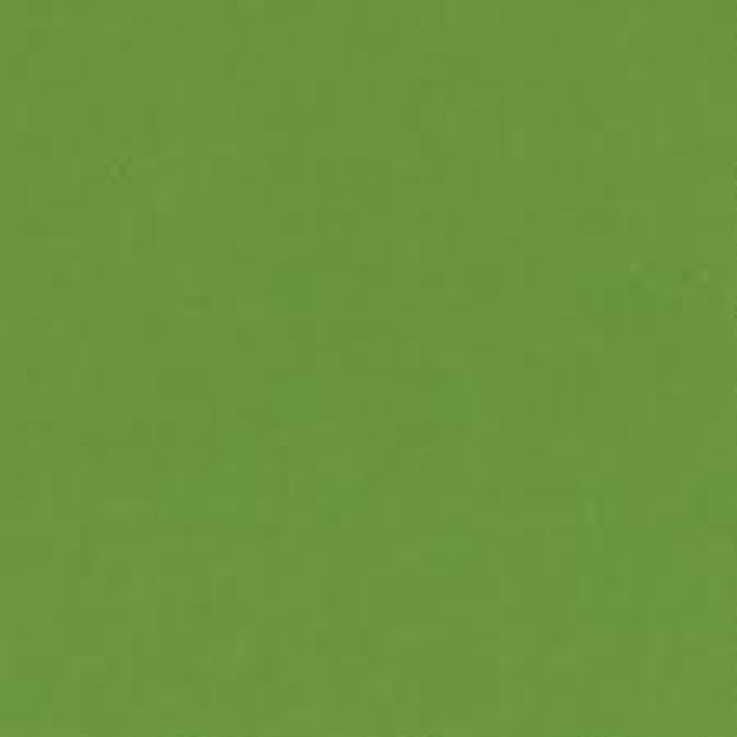 Hovedbilde Bazzill-12x12 inch-Lime Crush-T5-5127
