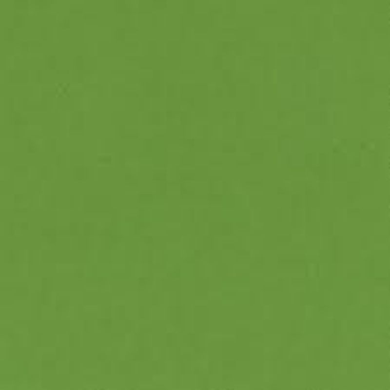 Bazzill-12x12 inch-Lime Crush-T5-5127