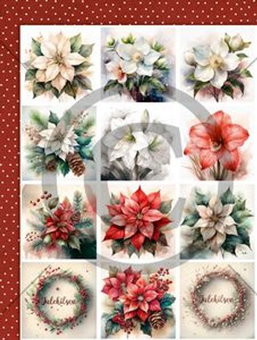 Hovedbilde Papirdesign- Motivark Juleblomster - PD 1342