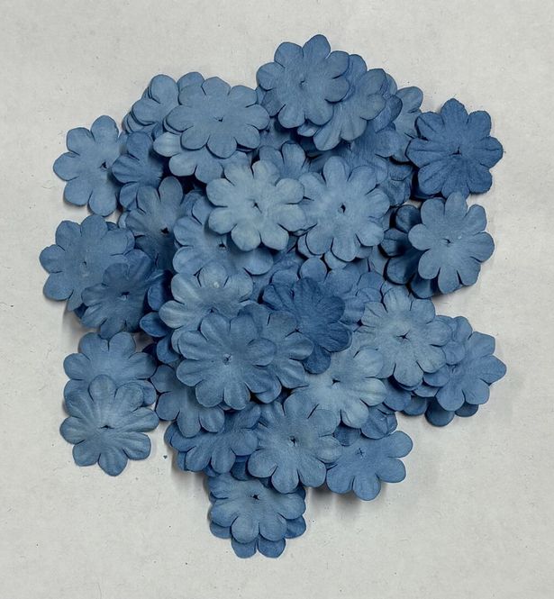 Hovedbilde Reprint-Mini Pappersblommor 20 mm 100 st Dusty ...