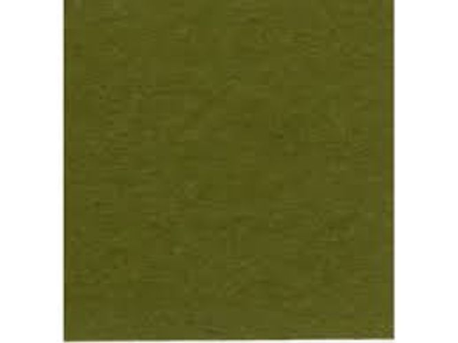 Hovedbilde Bazzill: Prismatics - Spring Willow Dark- ...