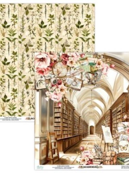 Hovedbilde Academia 01 fra Mintay