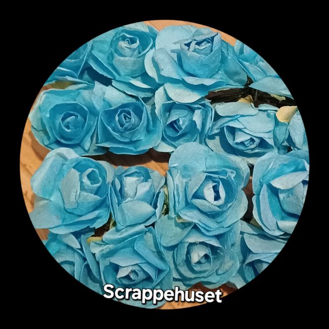 Hovedbilde Blå Roser - SH52